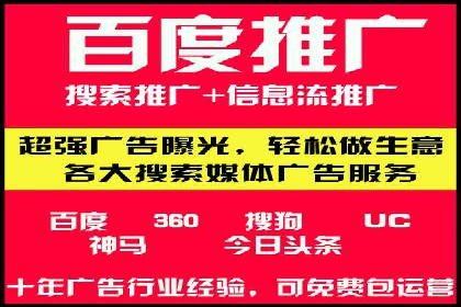 某品牌通过SEM优化实现品牌增长的故事